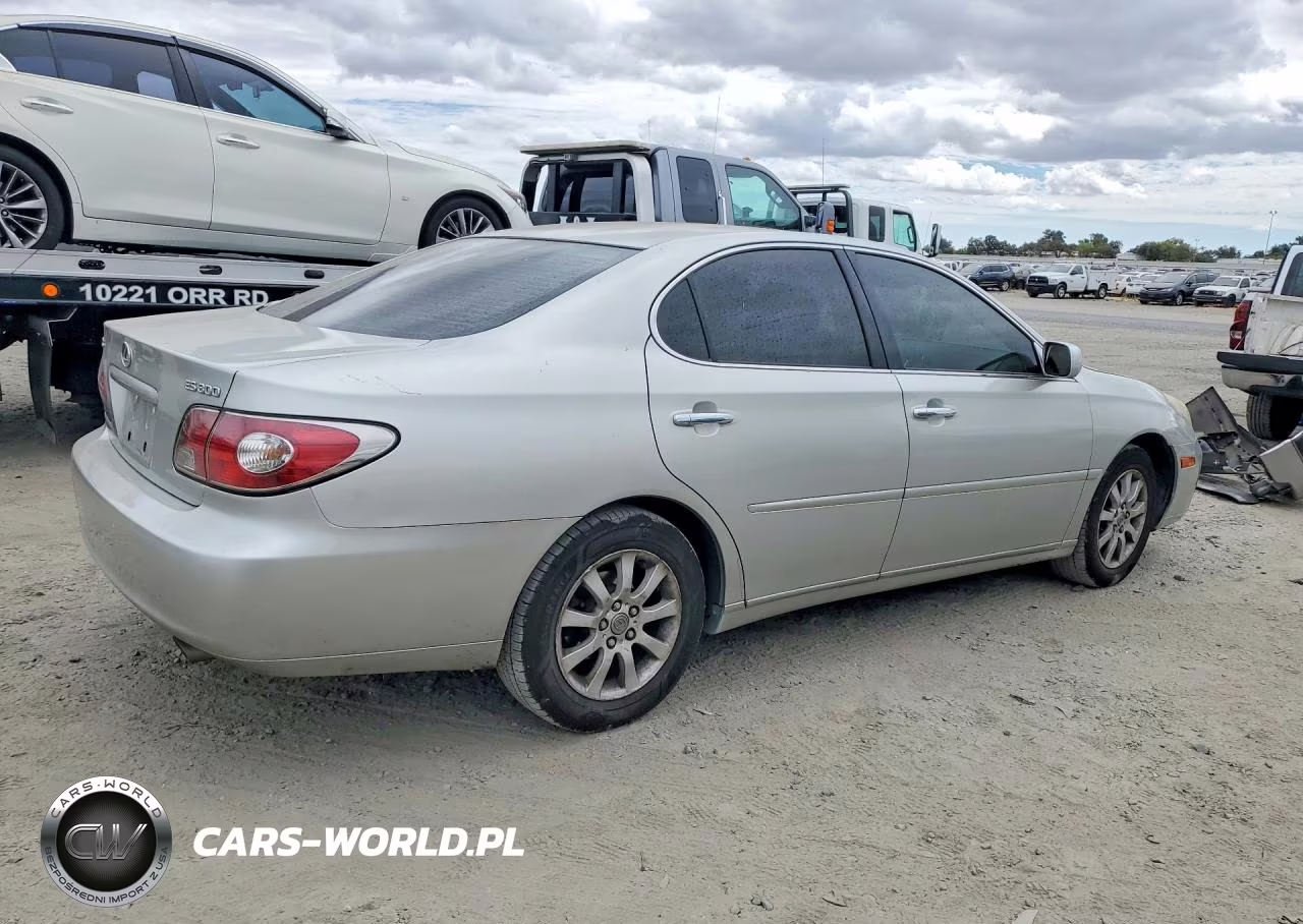 2003 Lexus Es 300 VIN:JTHBF30G736020431 - 3