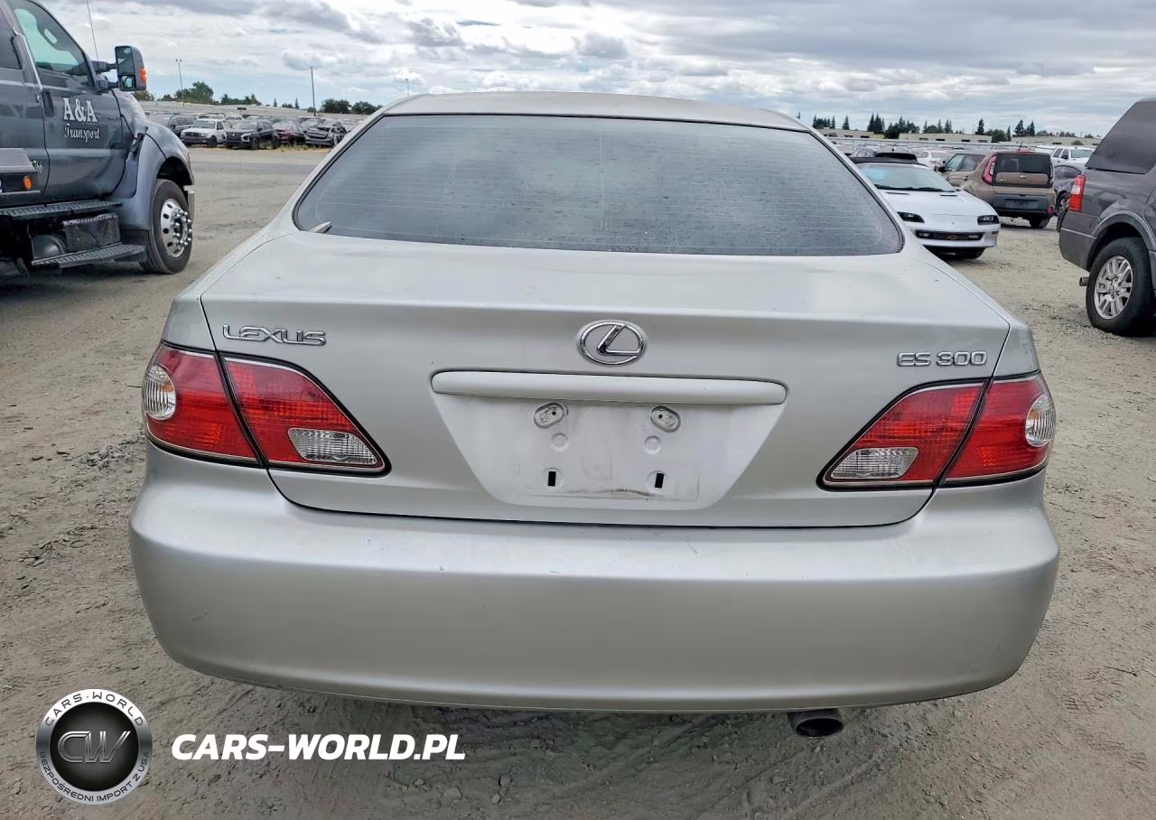 2003 Lexus Es 300 VIN:JTHBF30G736020431 - 6