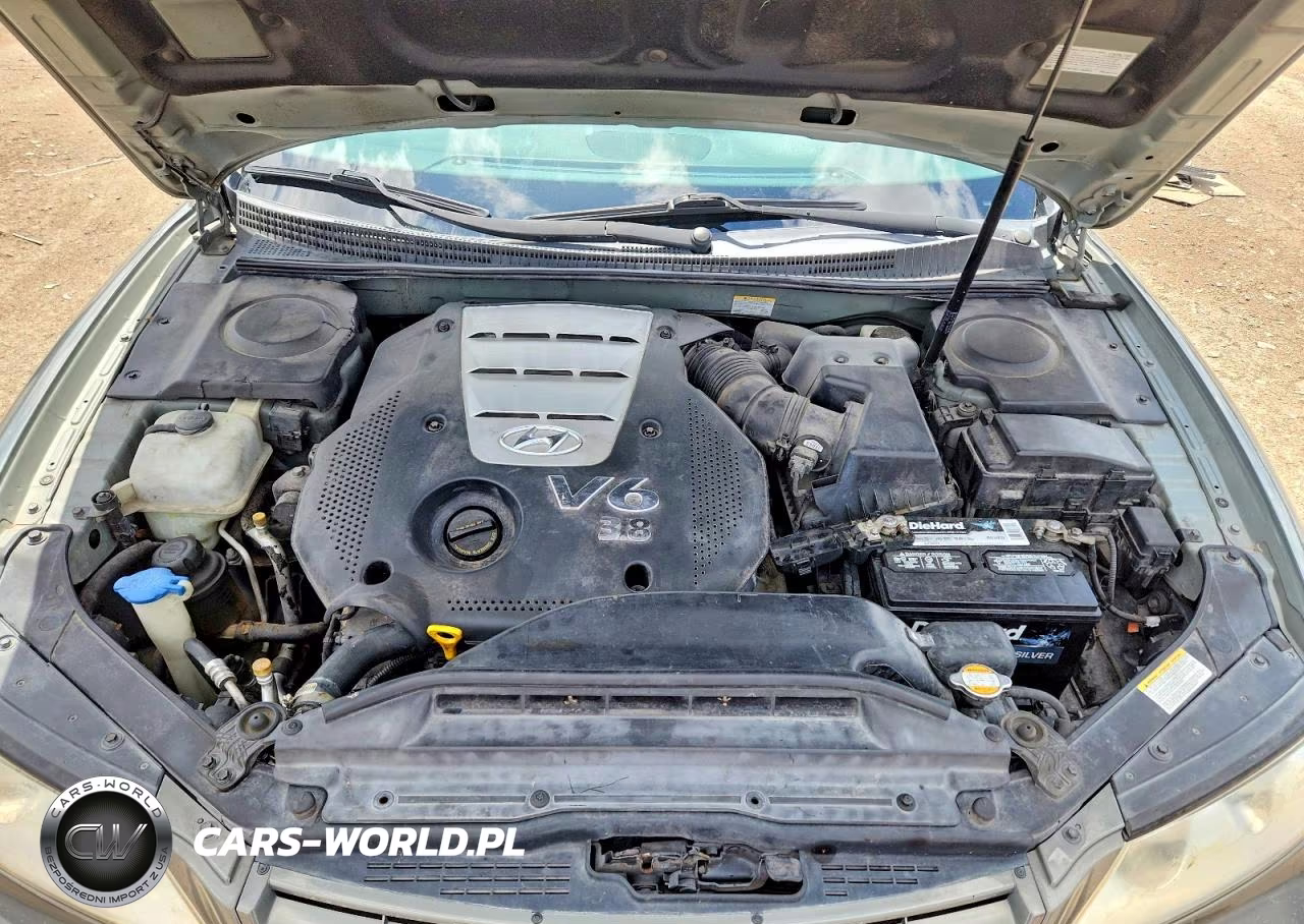 2007 Hyundai Azera Se VIN:KMHFC46F67A196157 - 11