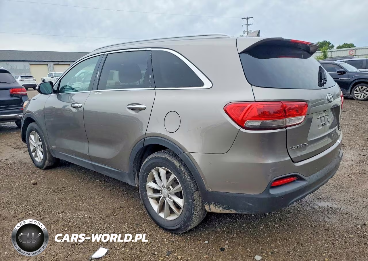 2017 Kia Sorento Lx VIN:5XYPGDA33HG204467 - 2
