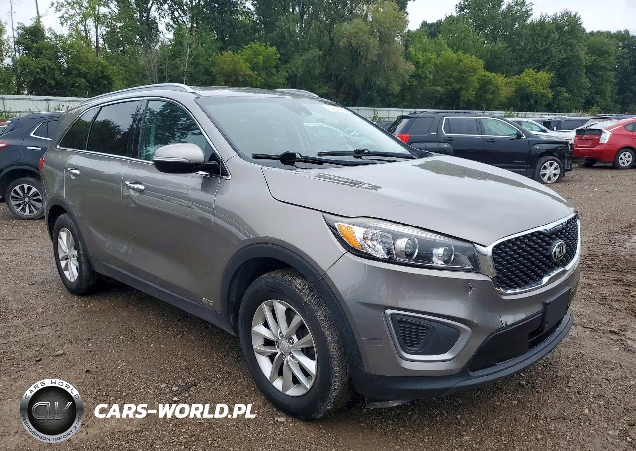 2017 Kia Sorento Lx VIN:5XYPGDA33HG204467 - 4
