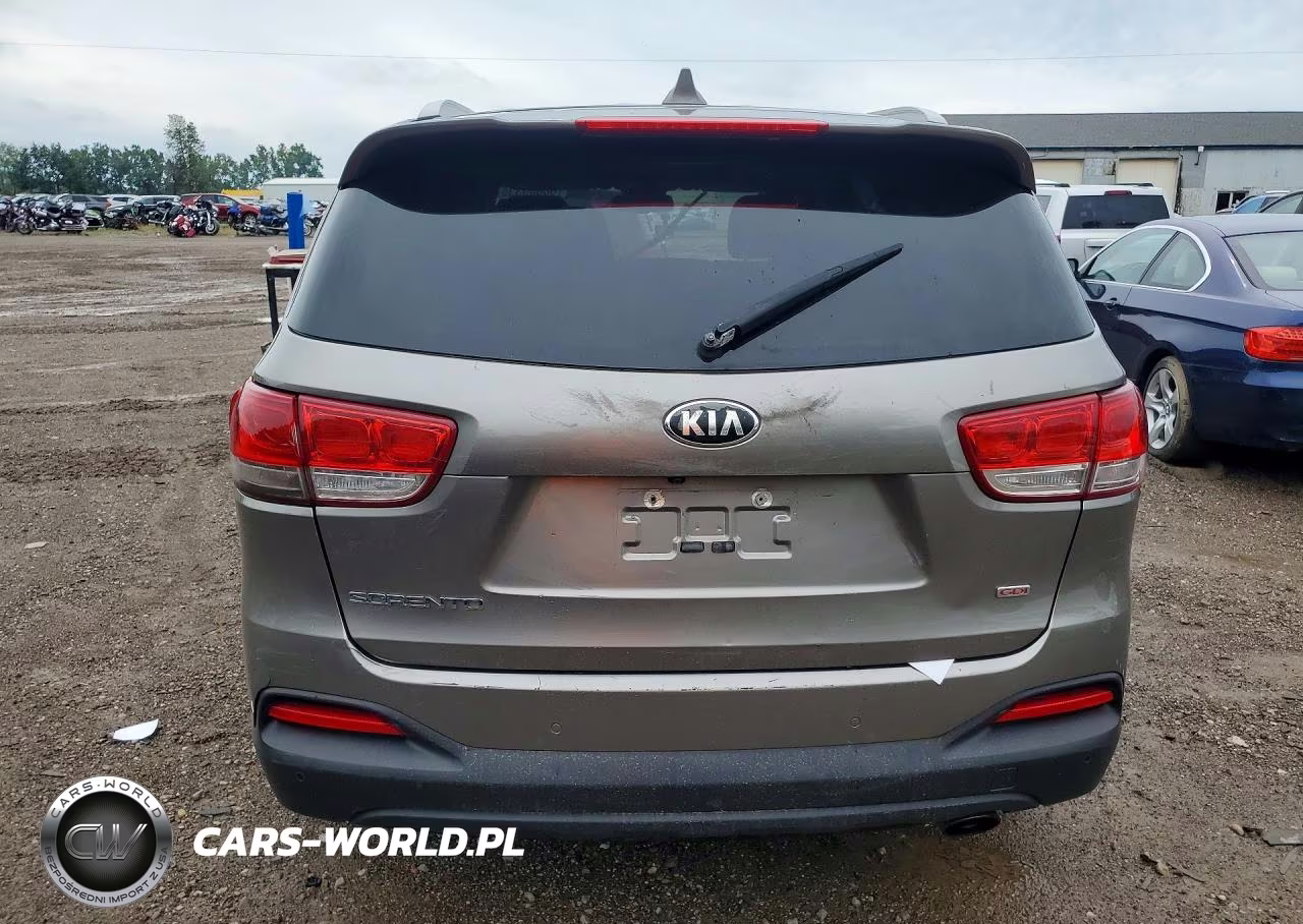 2017 Kia Sorento Lx VIN:5XYPGDA33HG204467 - 6