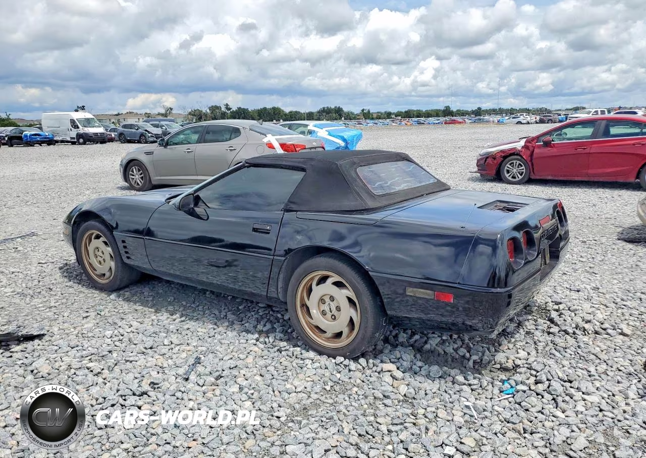 1994 Chevrolet Corvette VIN:1G1YY32P2R5111973 - 2