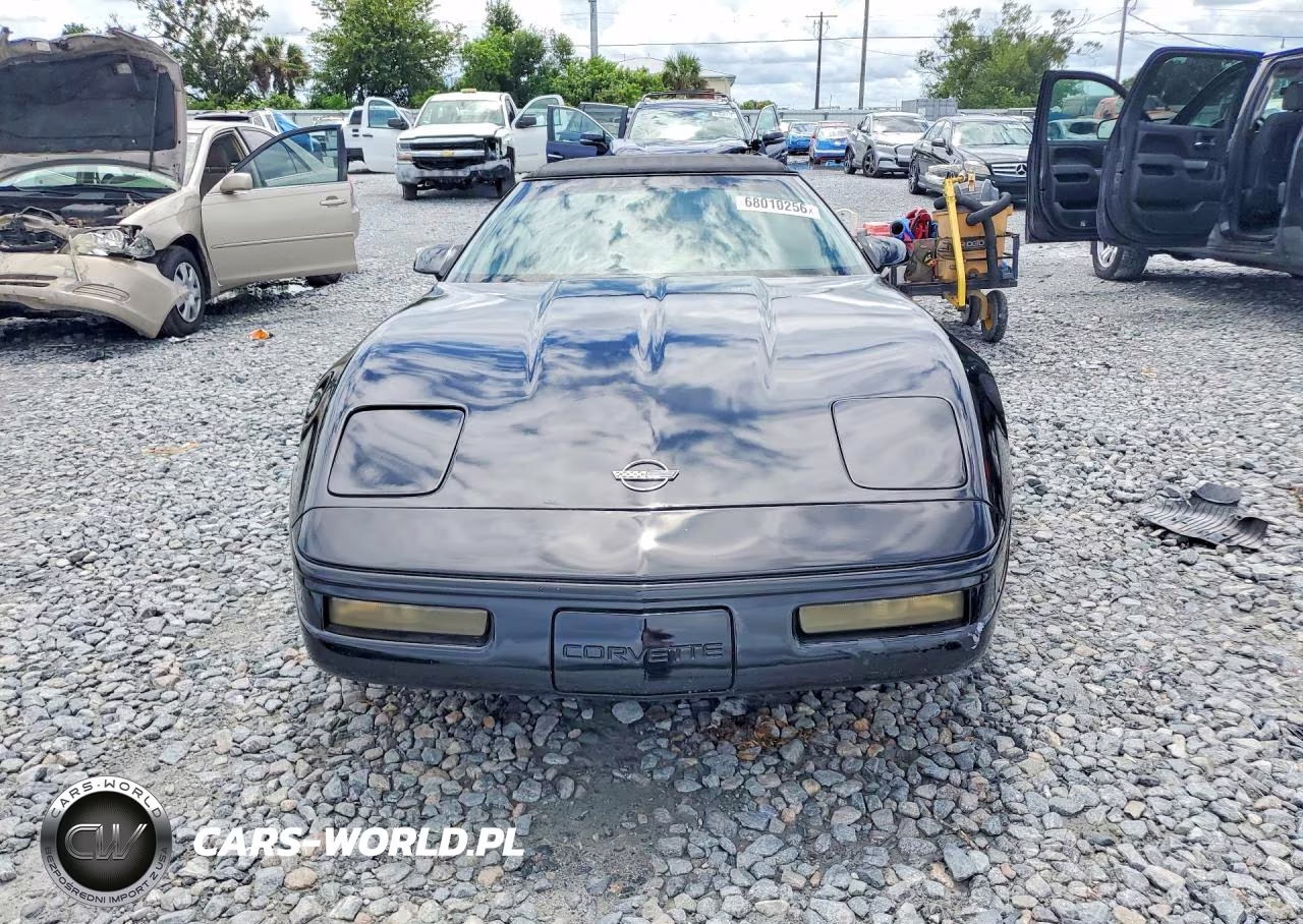 1994 Chevrolet Corvette VIN:1G1YY32P2R5111973 - 5