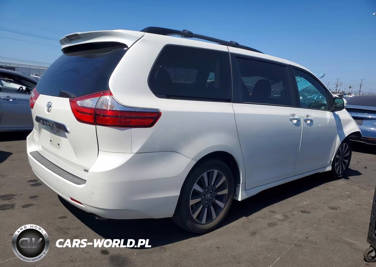 2019 Toyota Sienna Limited Premium 7-Passenger VIN:5TDYZ3DC4KS977334 - 3