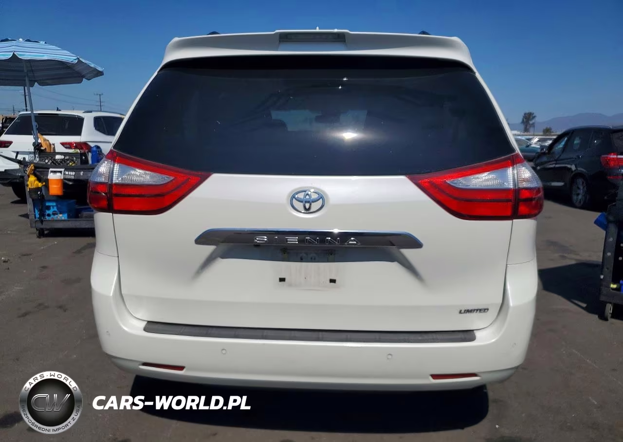2019 Toyota Sienna Limited Premium 7-Passenger VIN:5TDYZ3DC4KS977334 - 6