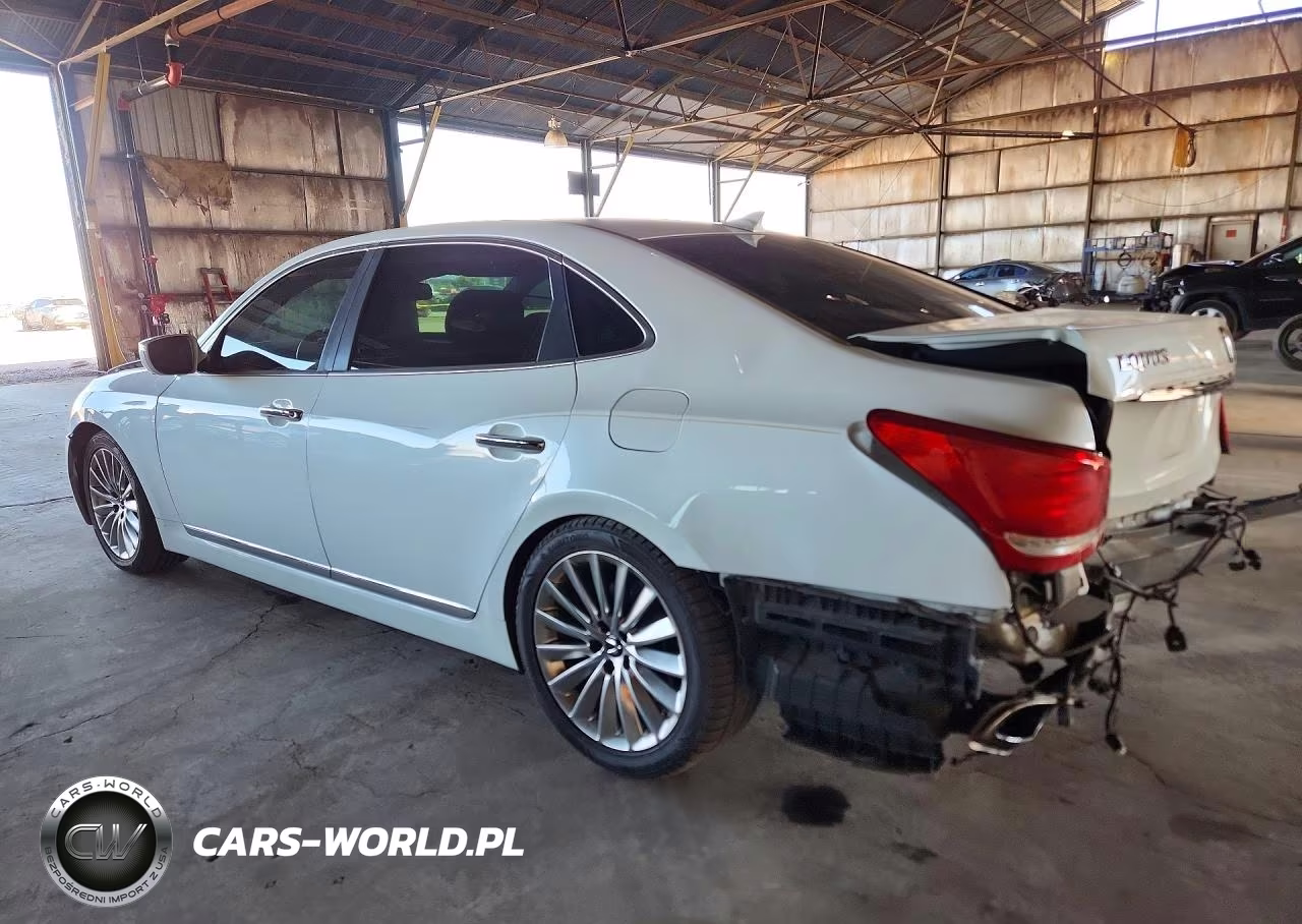 2014 Hyundai Equus Ultimate VIN:KMHGH4JH6EU078393 - 2