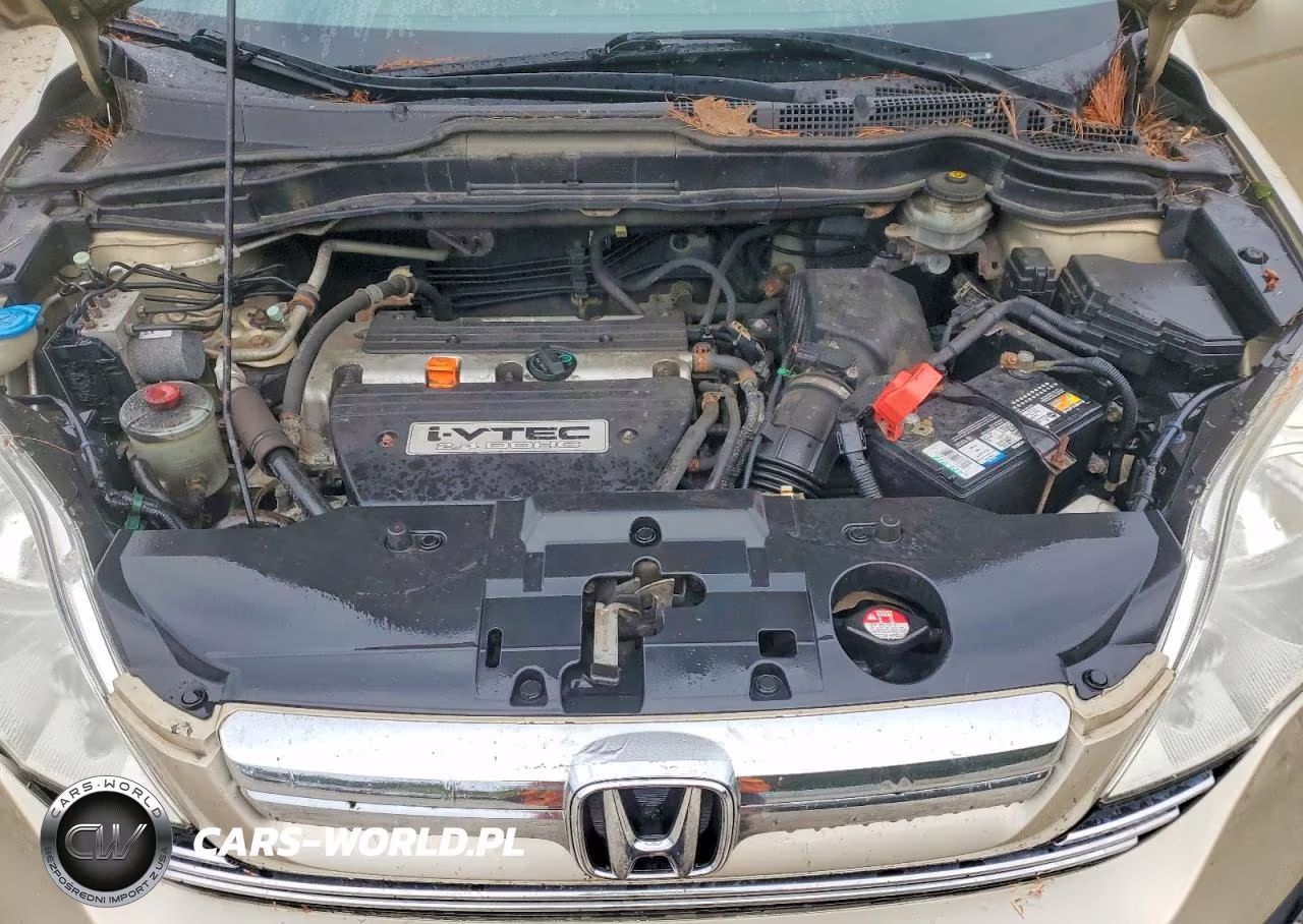 2008 Honda Cr-V Exl VIN:5J6RE48718L036611 - 12