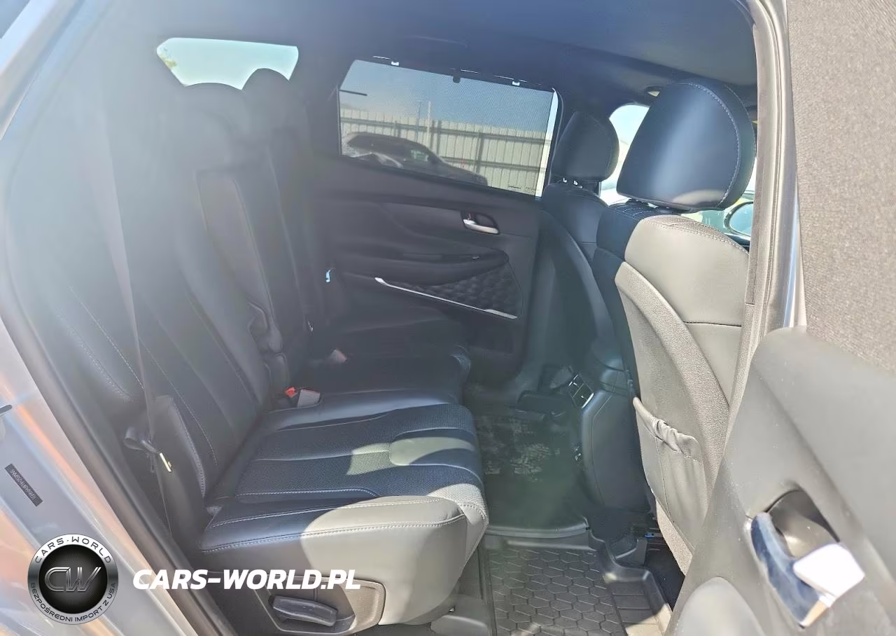 2023 Hyundai Santa Fe Calligraphy VIN:5NMS5DAL8PH516921 - 10