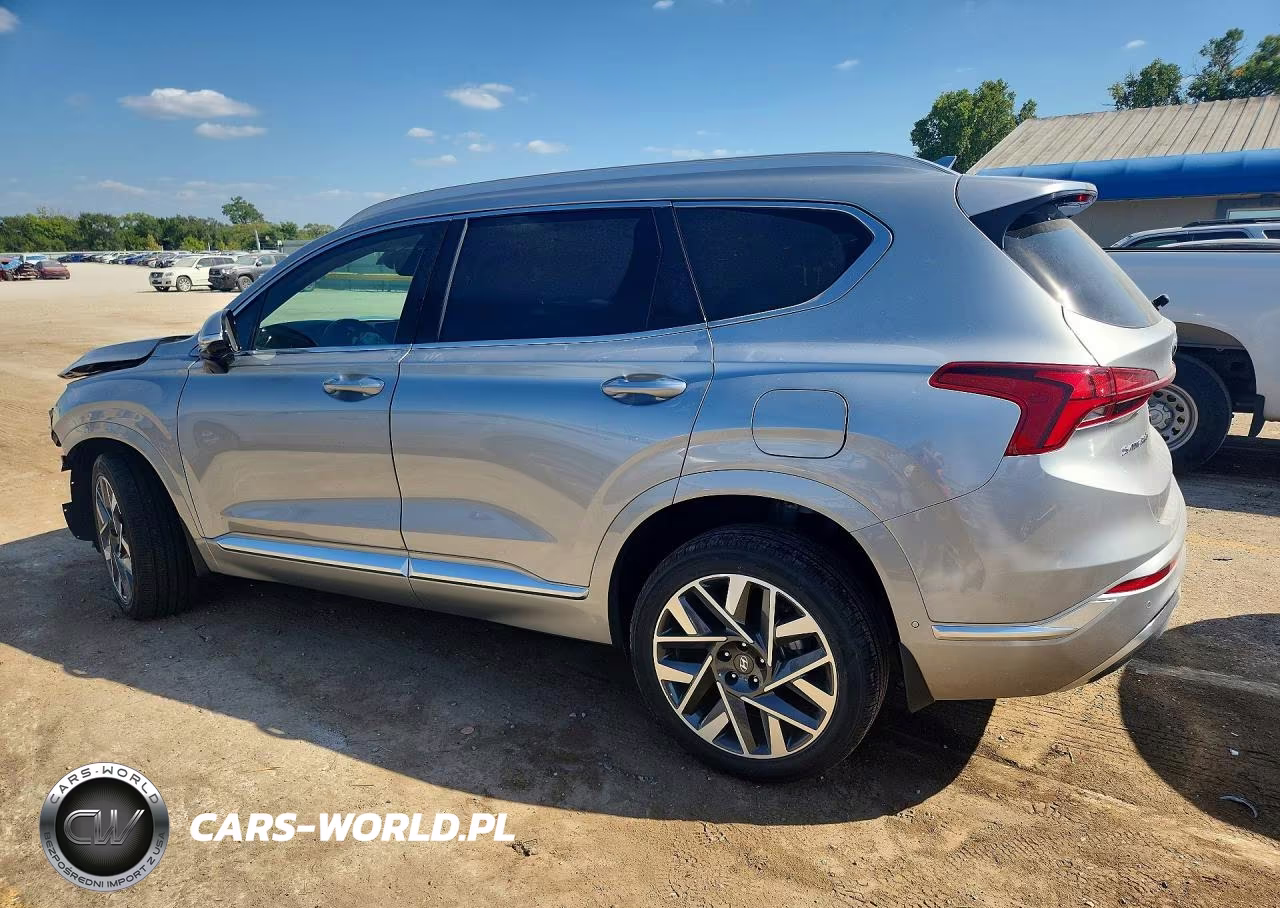 2023 Hyundai Santa Fe Calligraphy VIN:5NMS5DAL8PH516921 - 2