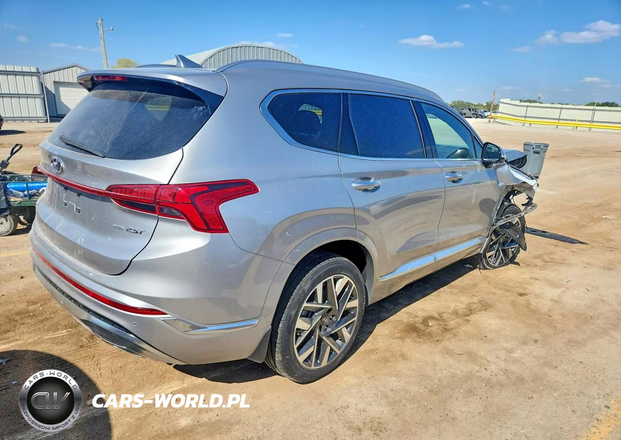 2023 Hyundai Santa Fe Calligraphy VIN:5NMS5DAL8PH516921 - 3