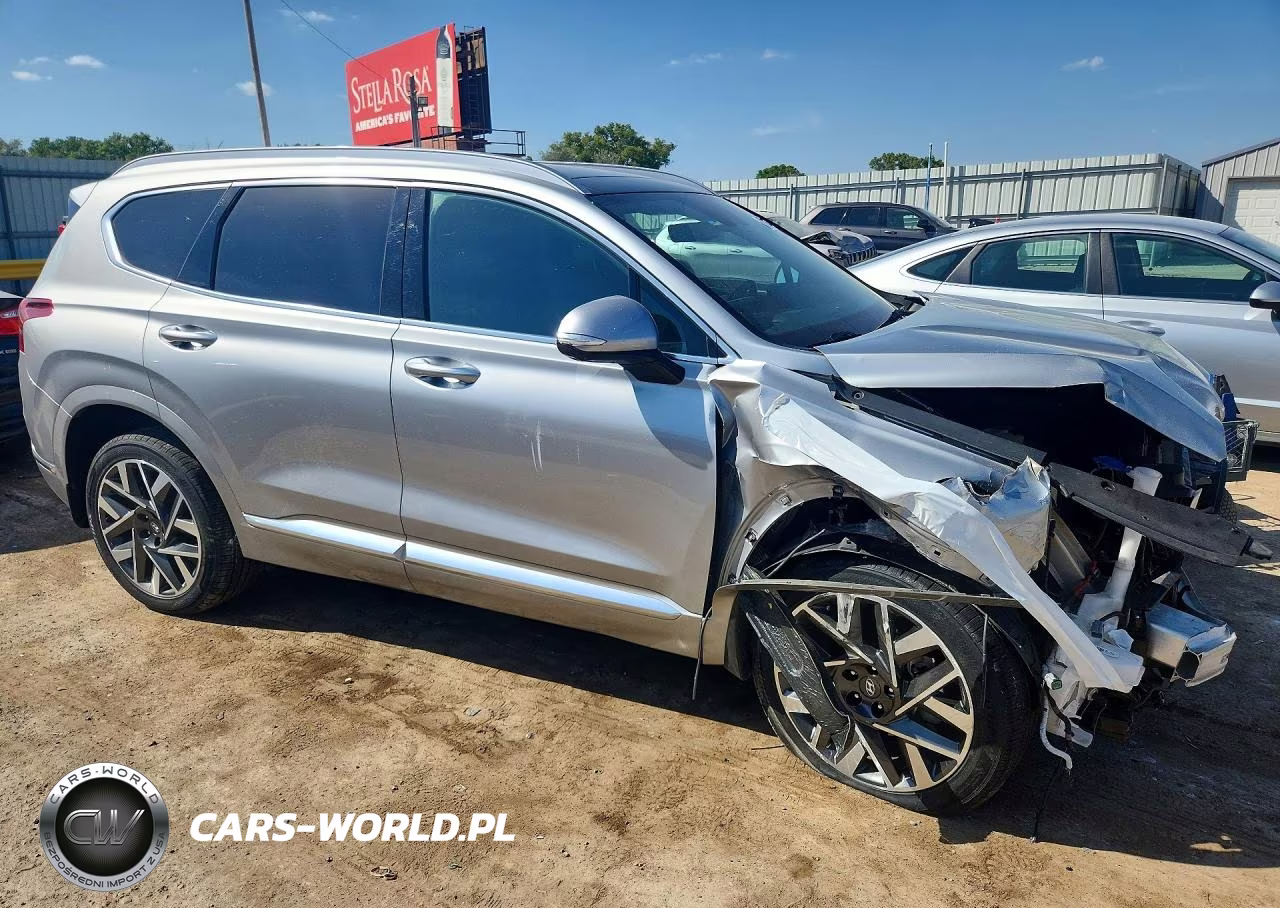 2023 Hyundai Santa Fe Calligraphy VIN:5NMS5DAL8PH516921 - 4