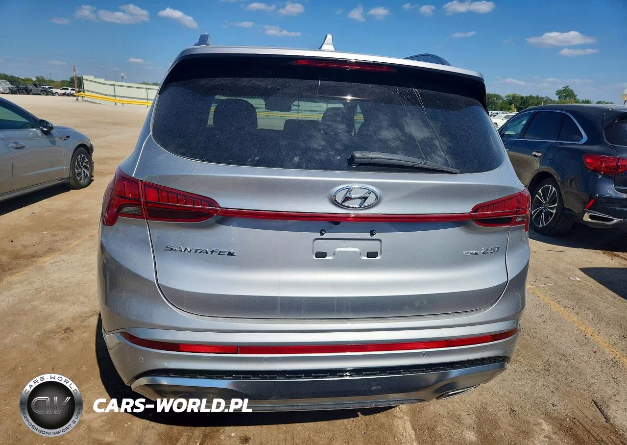 2023 Hyundai Santa Fe Calligraphy VIN:5NMS5DAL8PH516921 - 6