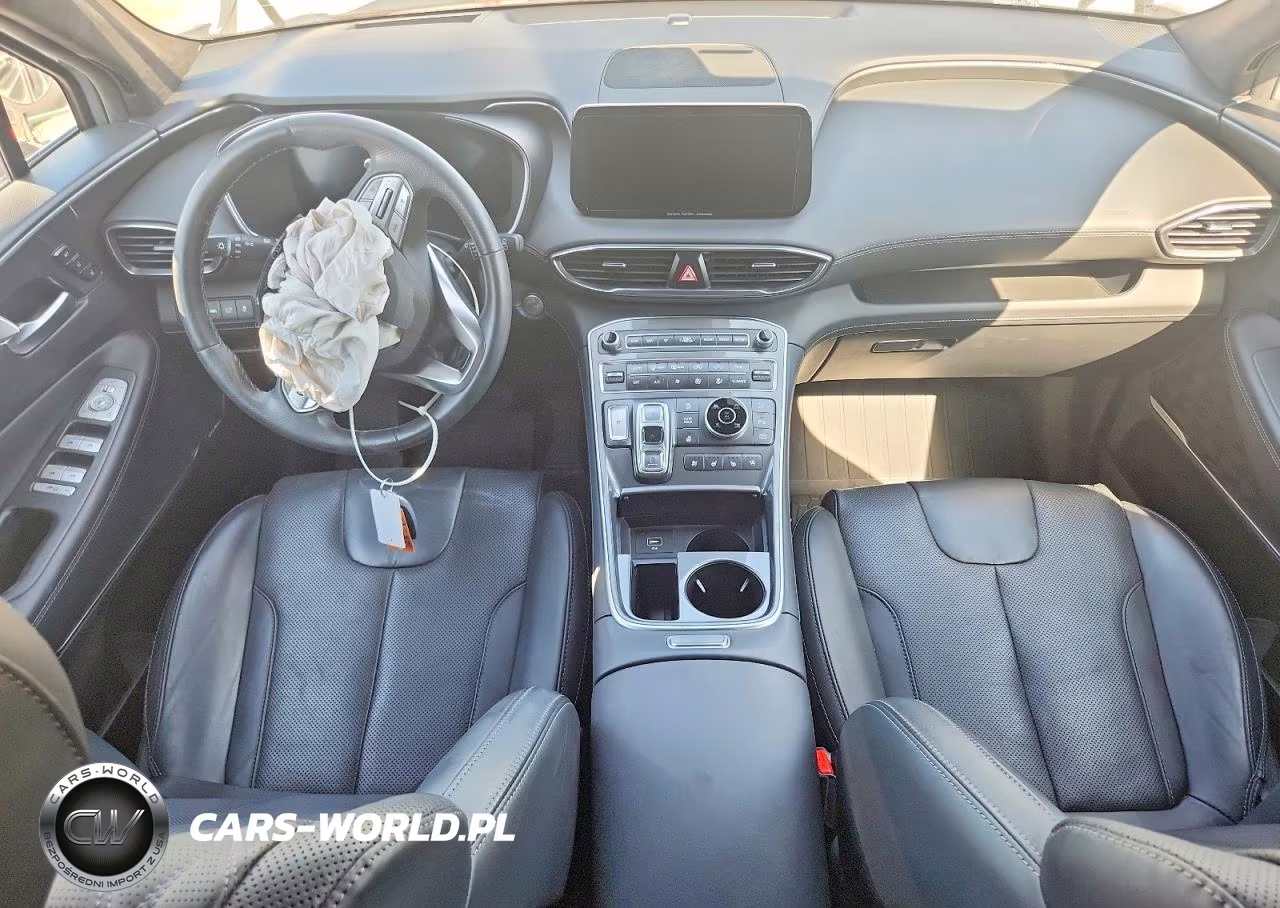 2023 Hyundai Santa Fe Calligraphy VIN:5NMS5DAL8PH516921 - 8