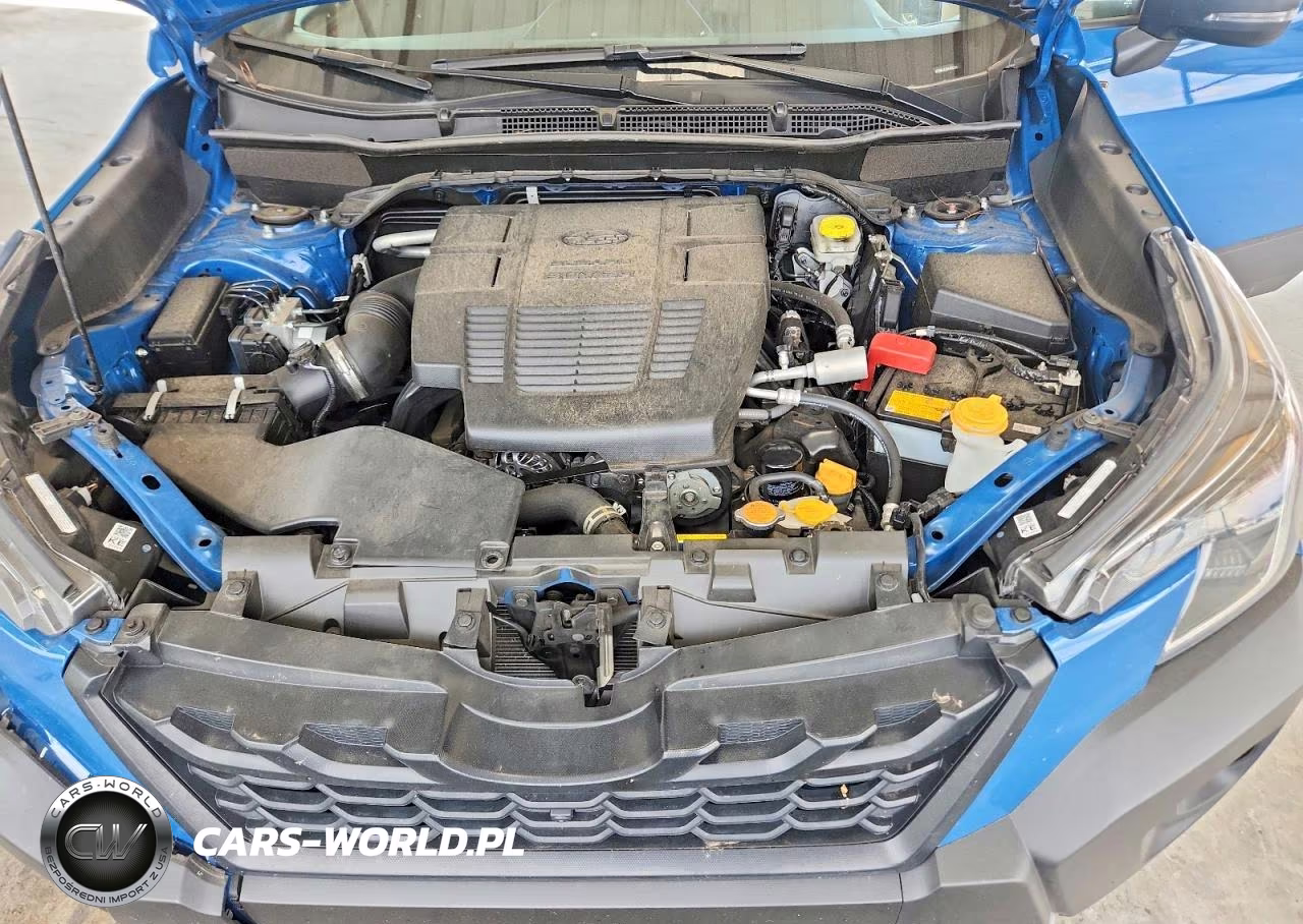2025 Subaru Forester Wilderness VIN:JF2SKAJC9SH404373 - 11