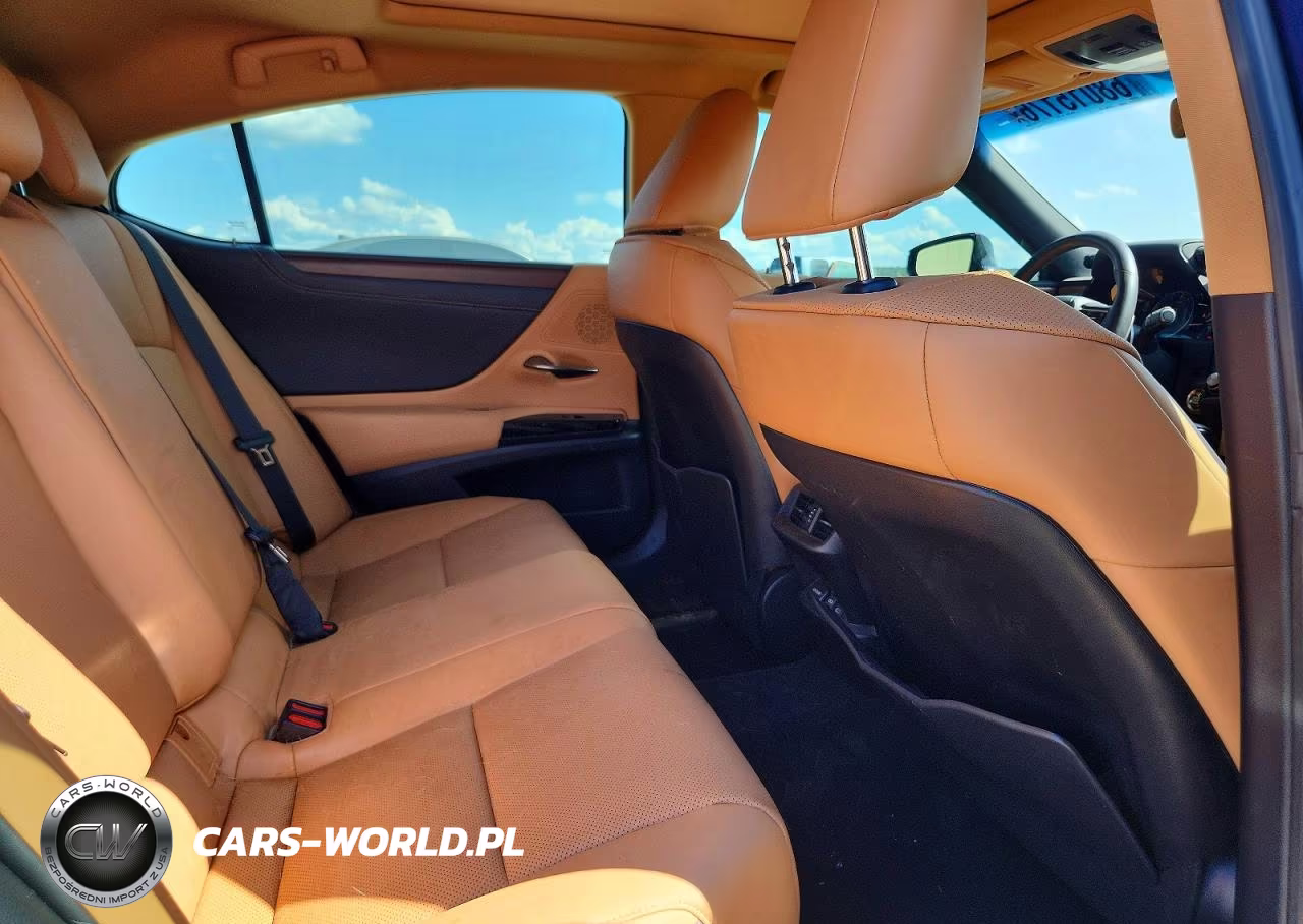 2023 Lexus Es 350 Base VIN:58ADZ1B16PU158756 - 10