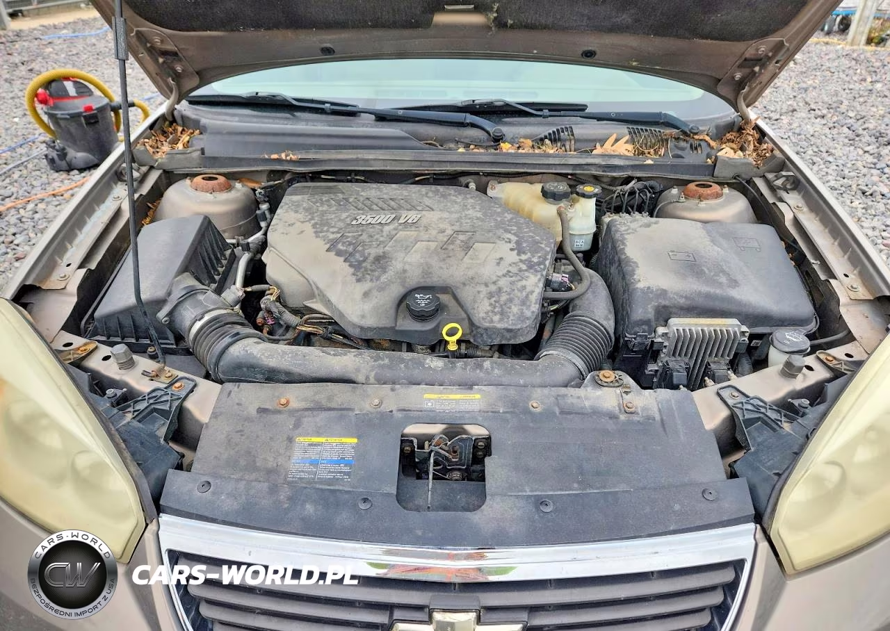 2008 Chevrolet Malibu Lt VIN:1G1ZT58N28F145487 - 11