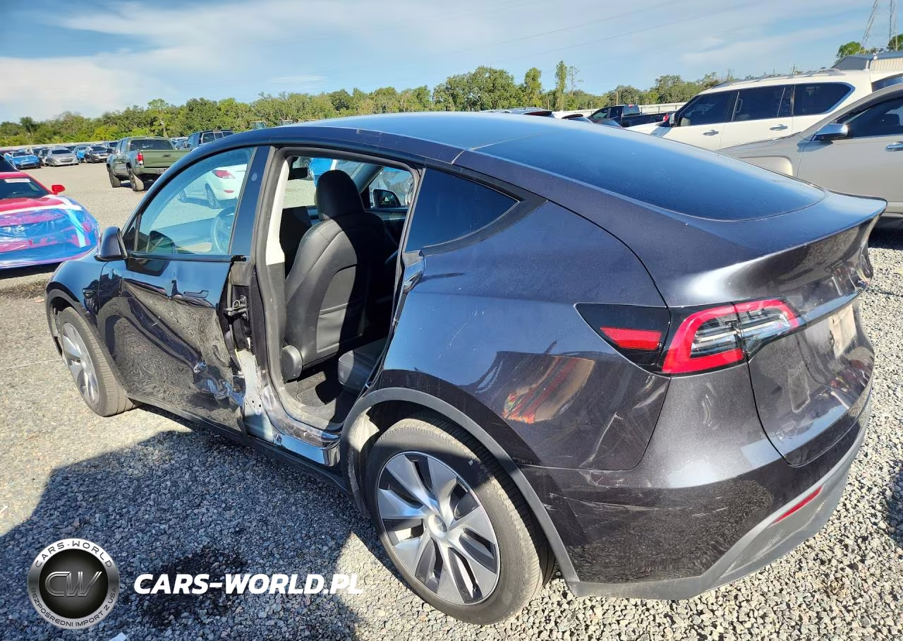 2024 Tesla Model Y VIN:7SAYGDEE9RA236560 - 2