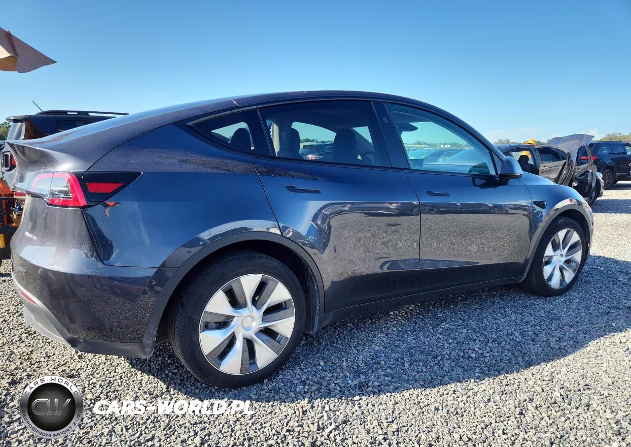 2024 Tesla Model Y VIN:7SAYGDEE9RA236560 - 3