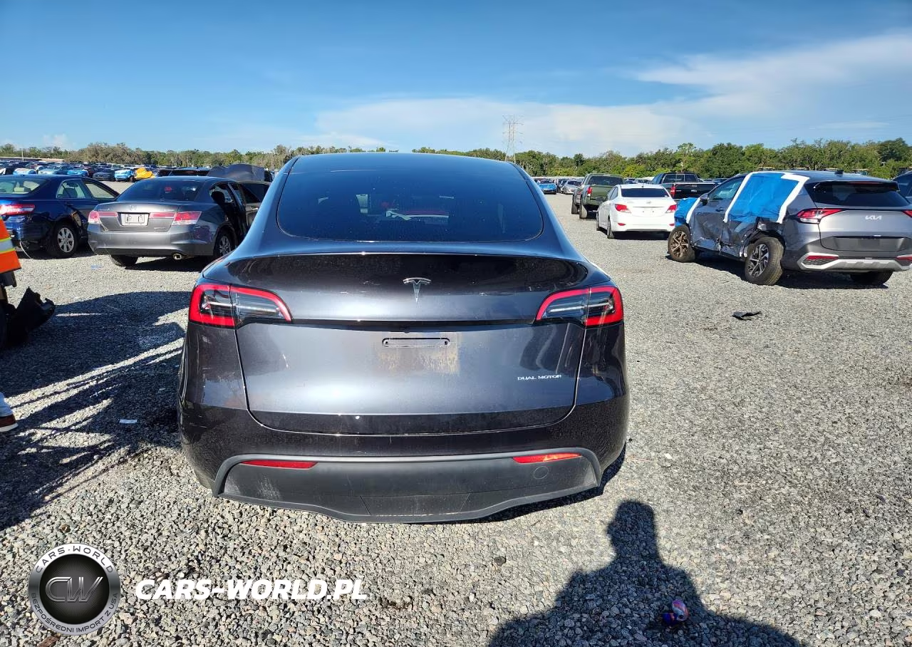 2024 Tesla Model Y VIN:7SAYGDEE9RA236560 - 6