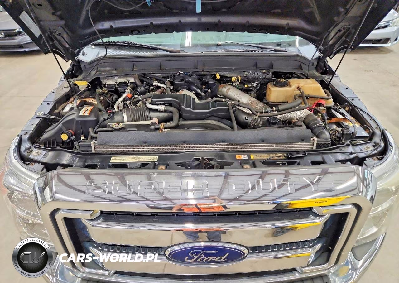 2013 Ford F250 Super Duty VIN:1FT7X2BT1DEB71099 - 11