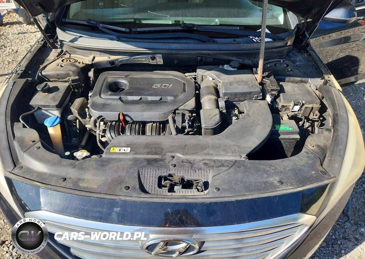 2016 Hyundai Sonata Se VIN:5NPE24AFXGH379029 - 11