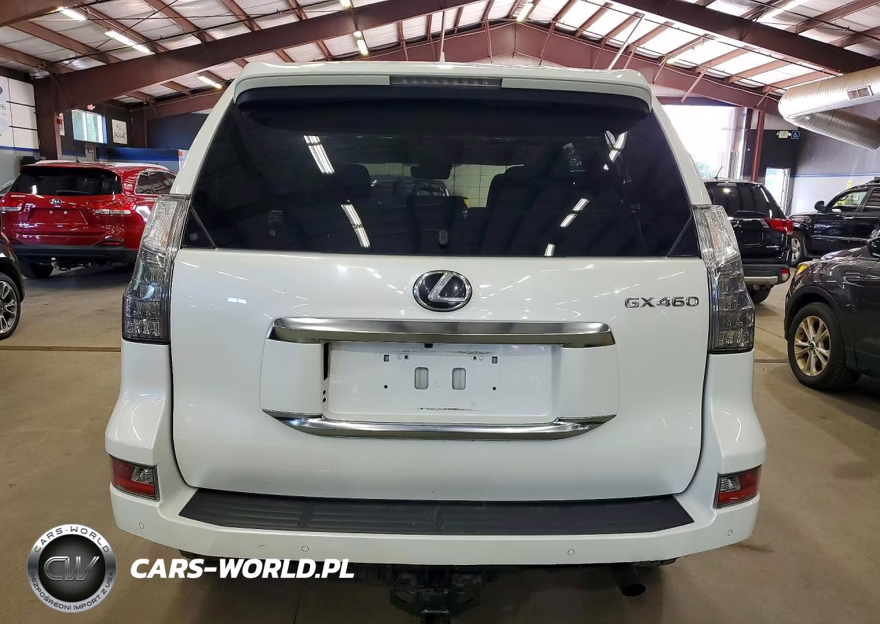 2020 Lexus Gx 460 Premium VIN:JTJAM7BX2L5242806 - 6