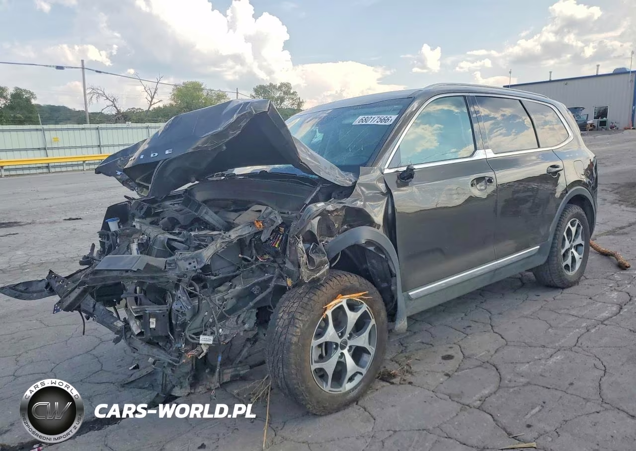 2020 Kia Telluride Ex VIN:5XYP3DHC4LG039698 - 1