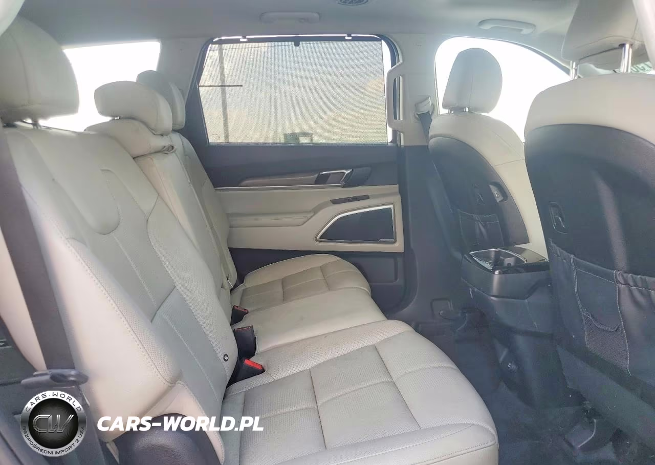 2020 Kia Telluride Ex VIN:5XYP3DHC4LG039698 - 10