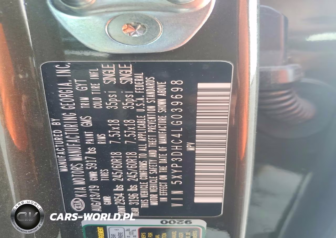 2020 Kia Telluride Ex VIN:5XYP3DHC4LG039698 - 12
