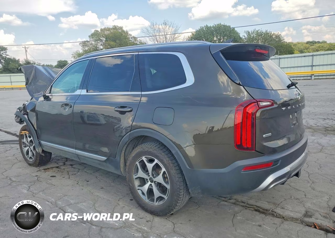 2020 Kia Telluride Ex VIN:5XYP3DHC4LG039698 - 2