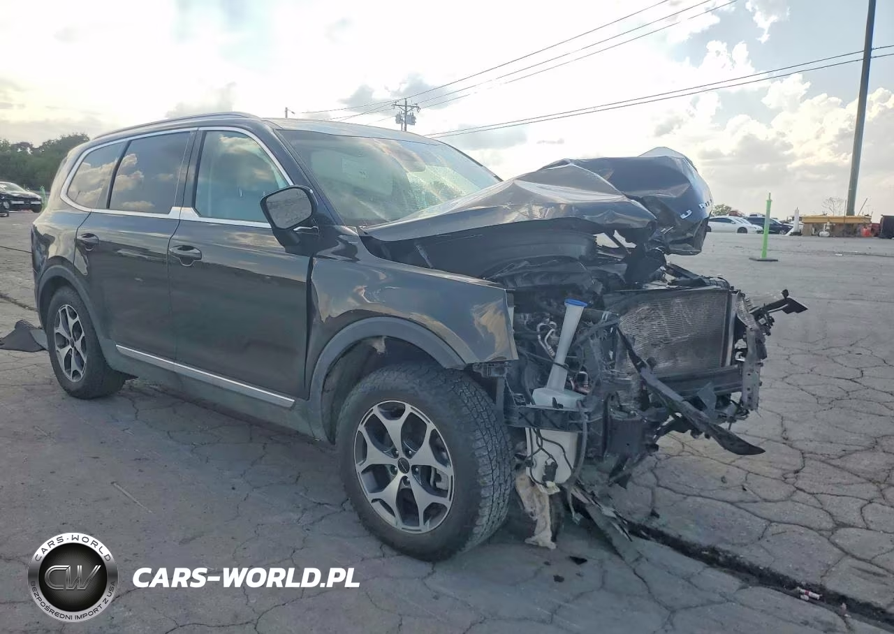 2020 Kia Telluride Ex VIN:5XYP3DHC4LG039698 - 4