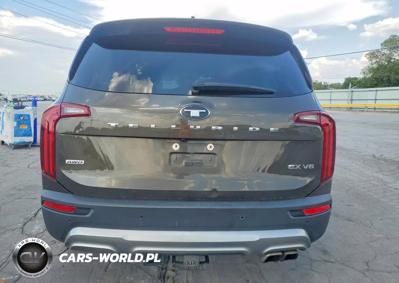 2020 Kia Telluride Ex VIN:5XYP3DHC4LG039698 - 6