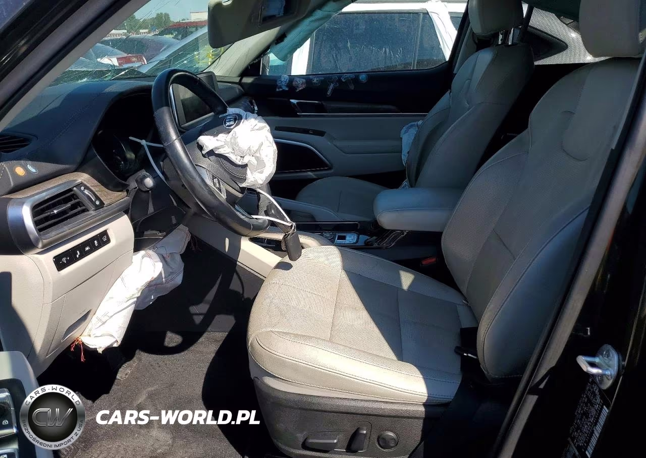 2020 Kia Telluride Ex VIN:5XYP3DHC4LG039698 - 7