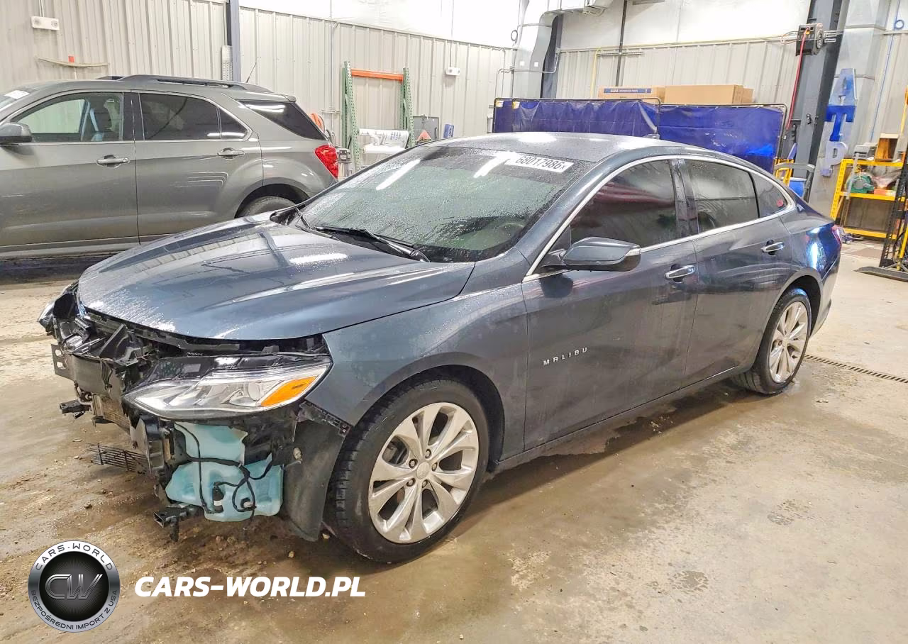 2019 Chevrolet Malibu Premier VIN:1G1ZE5SX1KF173843 - 1