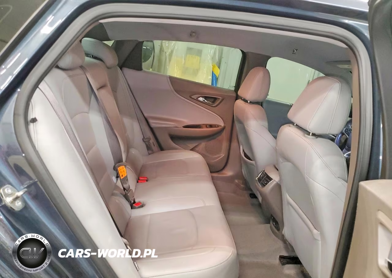2019 Chevrolet Malibu Premier VIN:1G1ZE5SX1KF173843 - 10