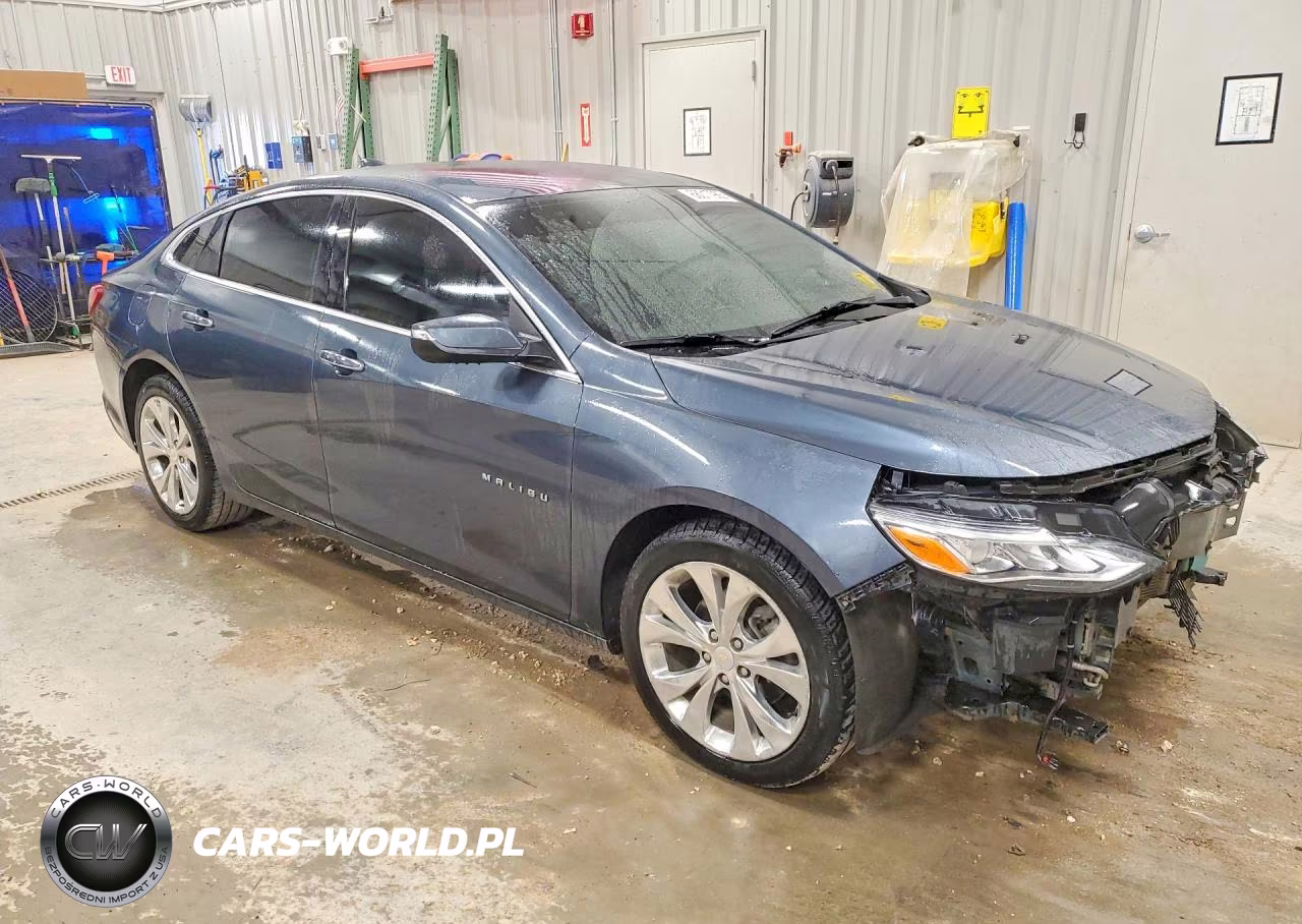 2019 Chevrolet Malibu Premier VIN:1G1ZE5SX1KF173843 - 4