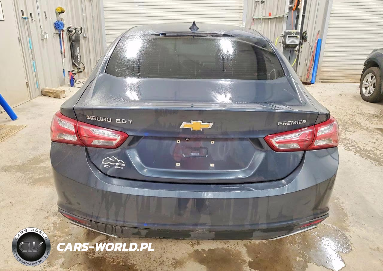 2019 Chevrolet Malibu Premier VIN:1G1ZE5SX1KF173843 - 6