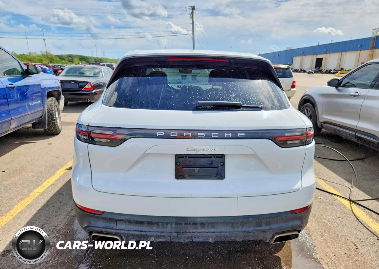 2020 Porsche Cayenne VIN:WP1AA2AY3LDA02452 - 6