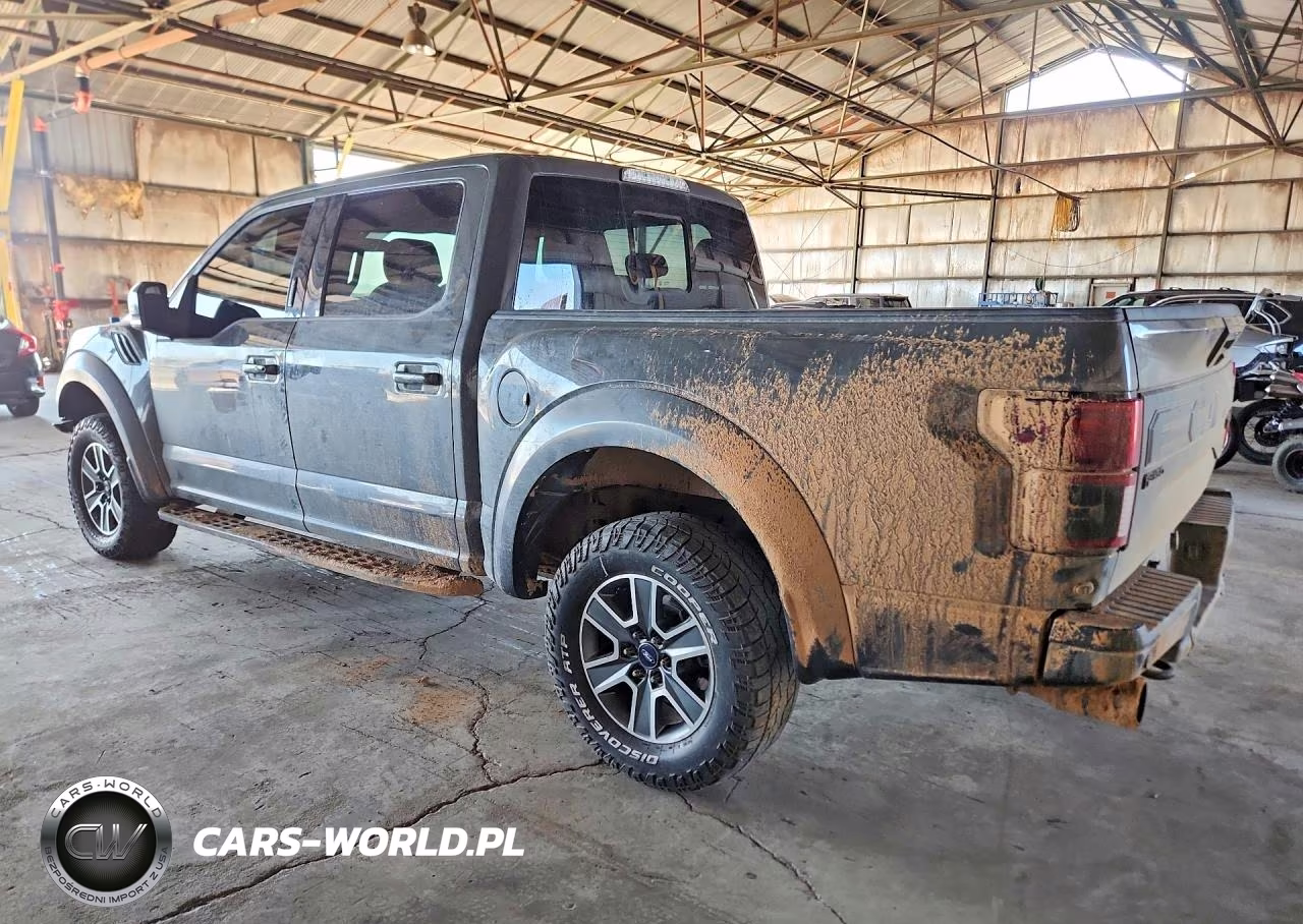 2018 Ford F150 Raptor VIN:1FTFW1RG5JFA06034 - 2
