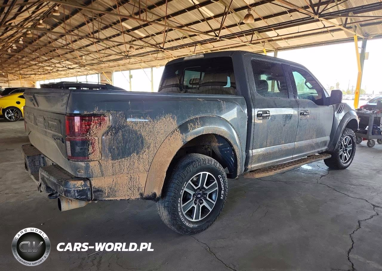 2018 Ford F150 Raptor VIN:1FTFW1RG5JFA06034 - 3