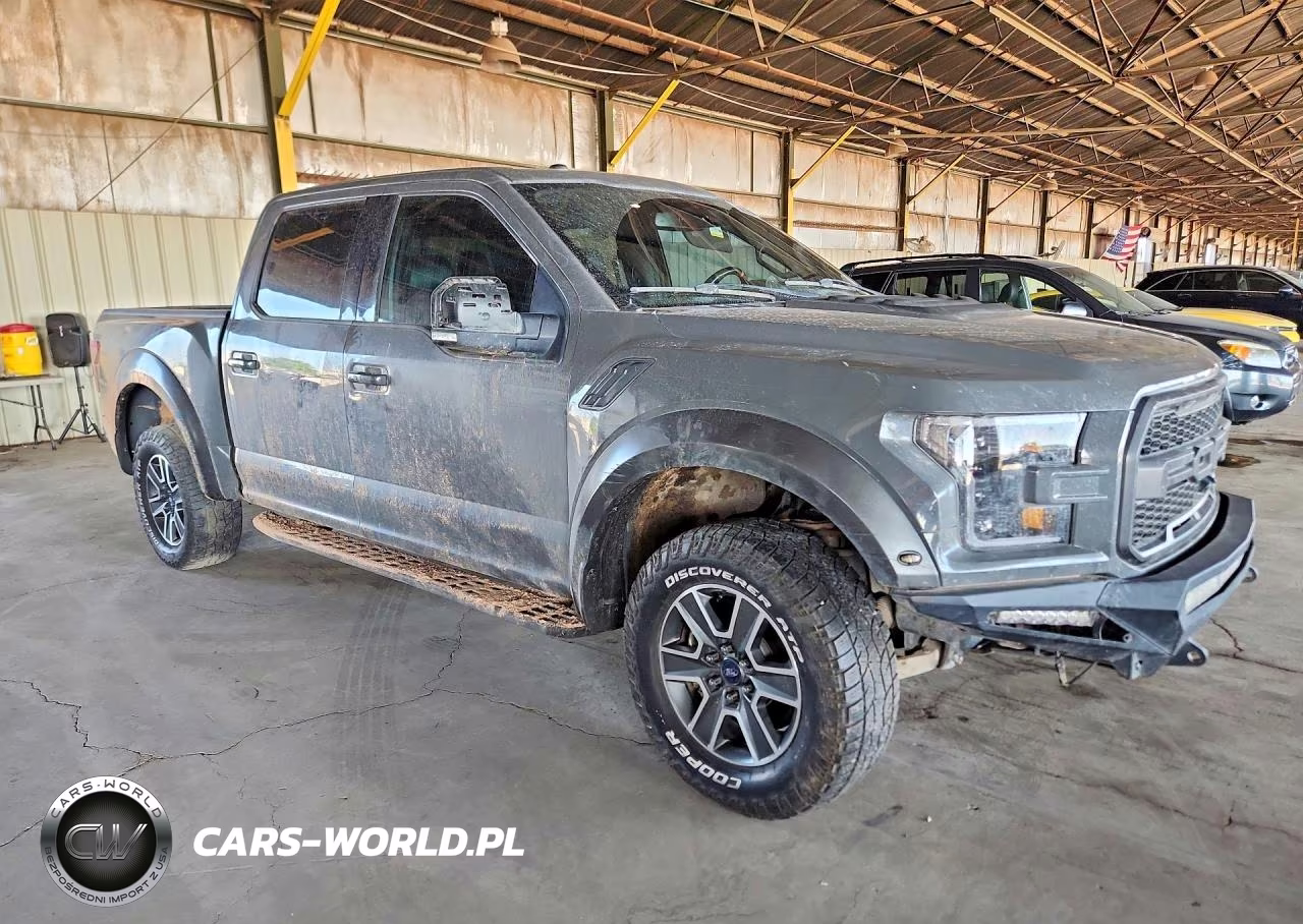 2018 Ford F150 Raptor VIN:1FTFW1RG5JFA06034 - 4