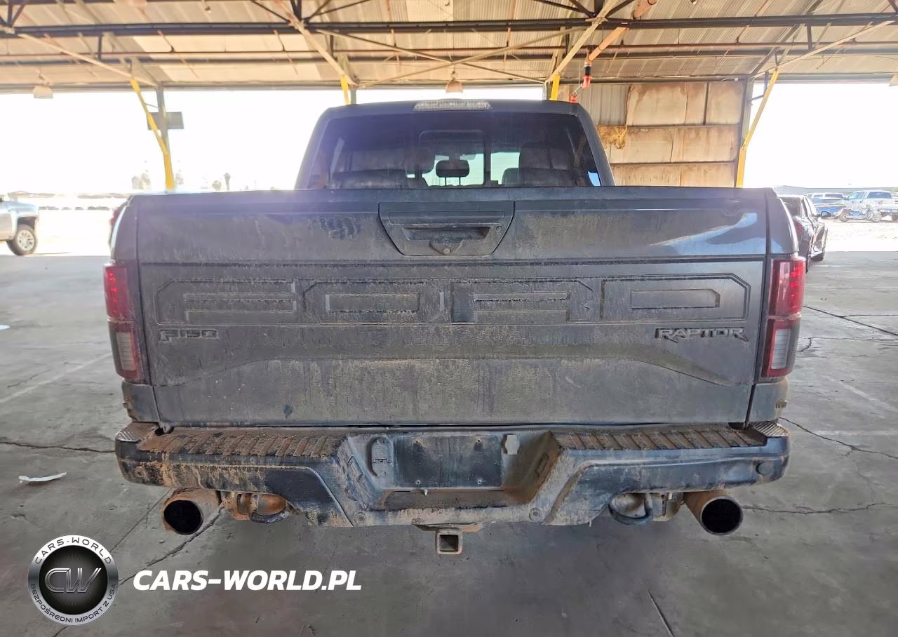 2018 Ford F150 Raptor VIN:1FTFW1RG5JFA06034 - 6