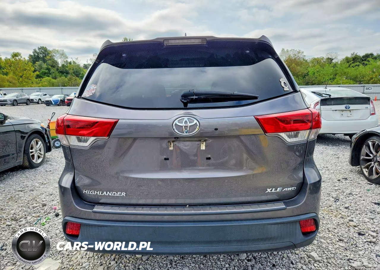 2019 Toyota Highlander Xle VIN:5TDJZRFHXKS567456 - 6