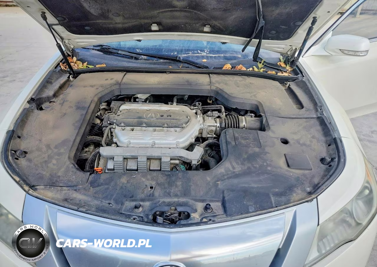 2010 Acura Tl VIN:19UUA8F23AA015675 - 11