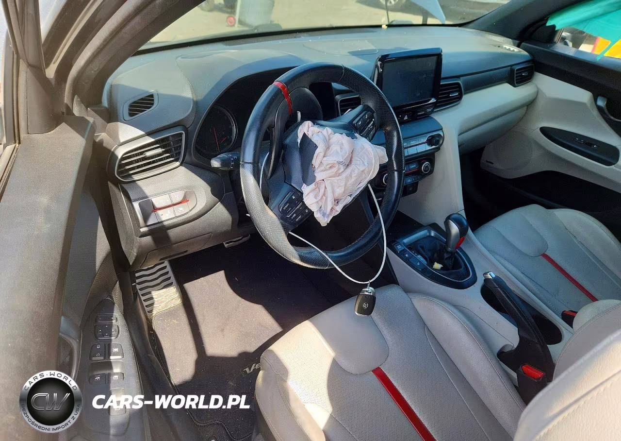 2019 Hyundai Veloster Turbo Ultimate VIN:KMHTH6AB5KU014931 - 8