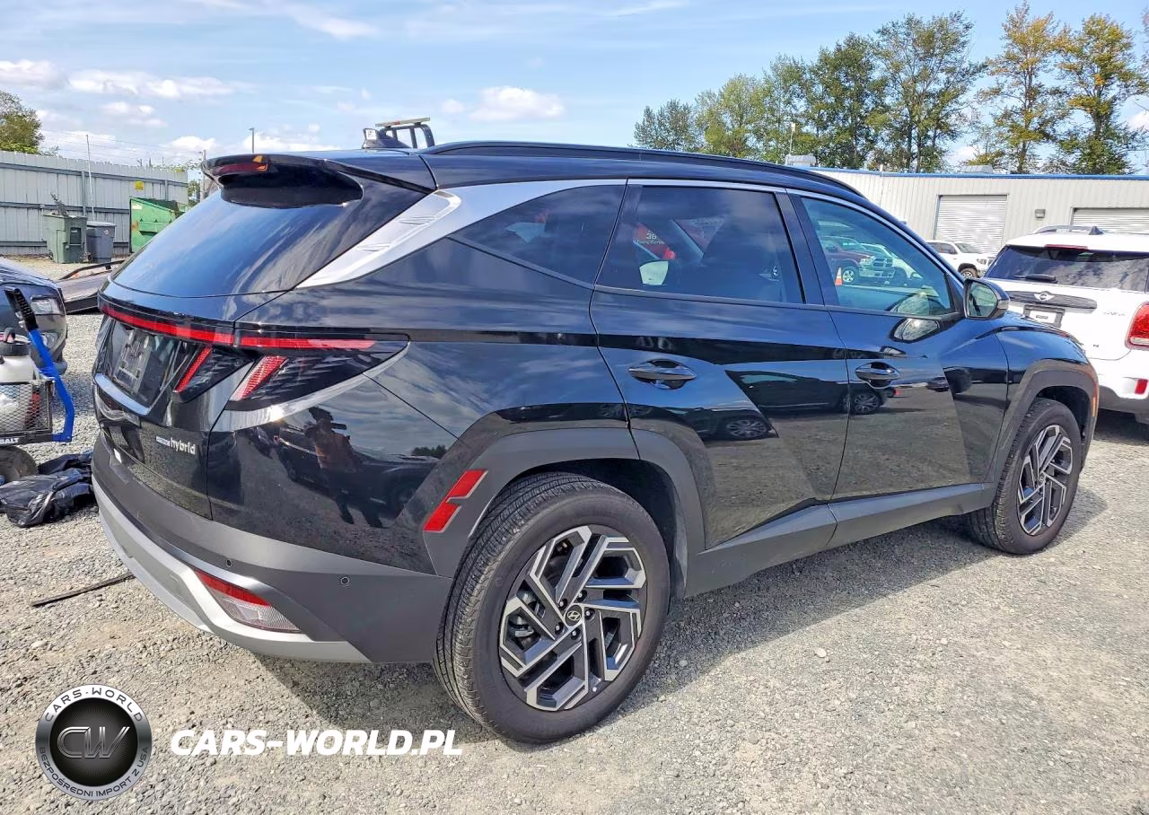 2025 Hyundai Tucson Limited VIN:KM8JEDD15SU255590 - 3