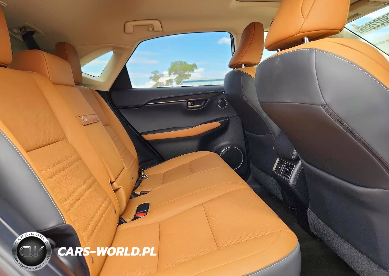 2020 Lexus Nx 300 VIN:JTJGARBZ4L5007243 - 10