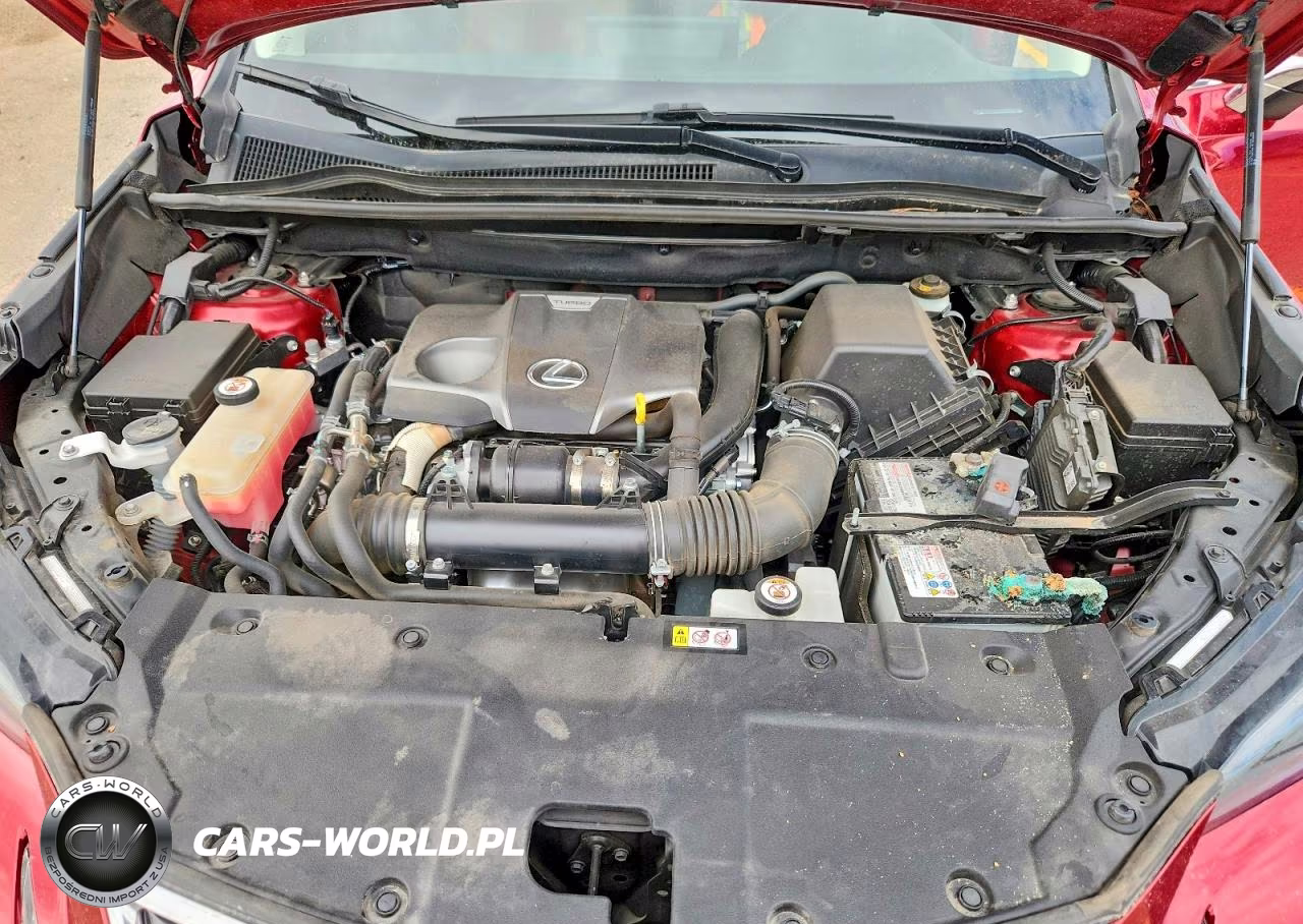 2020 Lexus Nx 300 VIN:JTJGARBZ4L5007243 - 11