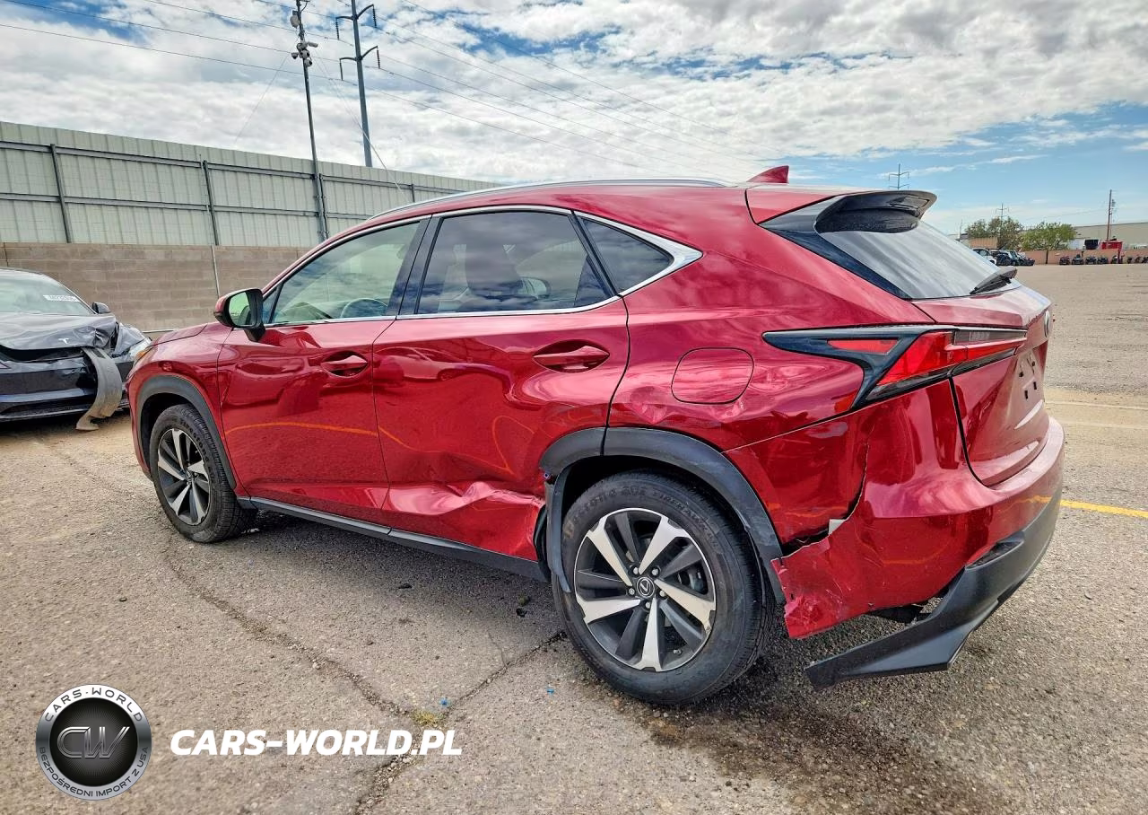2020 Lexus Nx 300 VIN:JTJGARBZ4L5007243 - 2